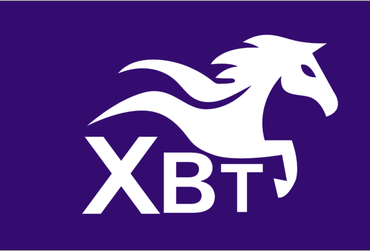 福建新奔騰商務(wù)咨詢有限公司重慶分公司